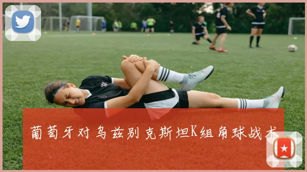 葡萄牙对乌兹别克斯坦K组角球战术