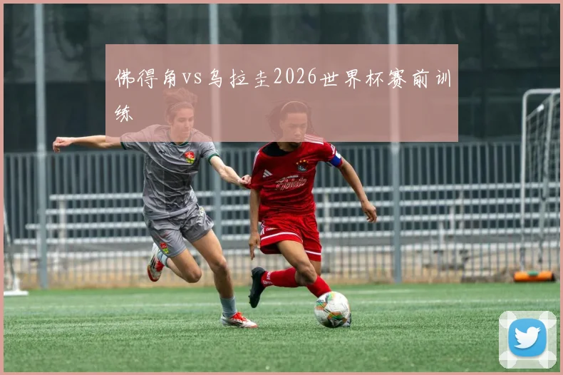 佛得角vs乌拉圭2026世界杯赛前训练