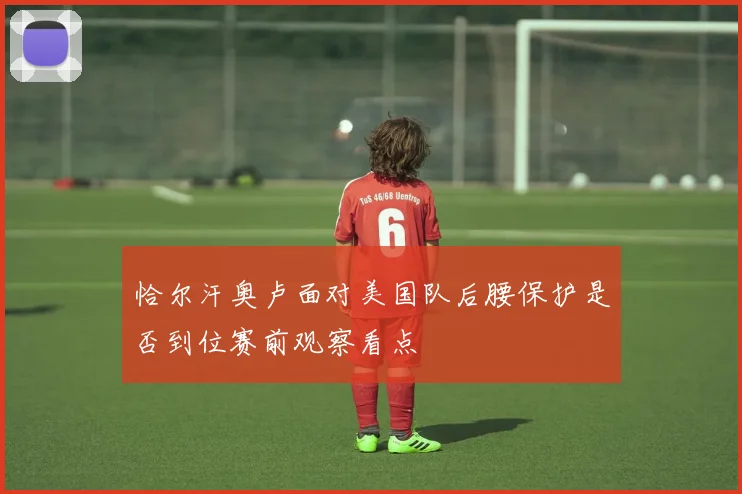 恰尔汗奥卢面对美国队后腰保护是否到位赛前观察看点