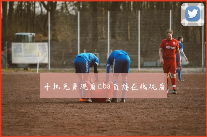 手机免费观看nba直播在线观看