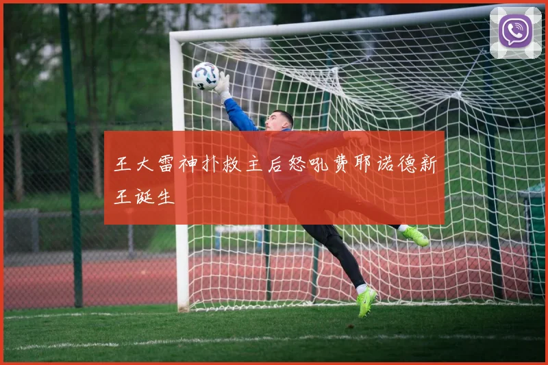 王大雷神扑救主后怒吼费耶诺德新王诞生