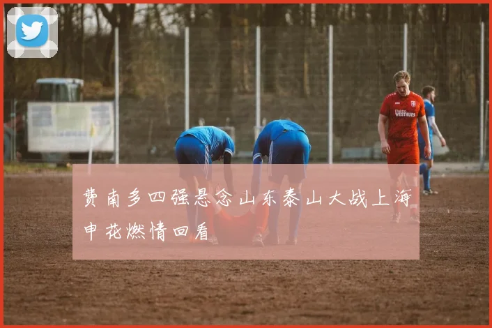 费南多四强悬念山东泰山大战上海申花燃情回看