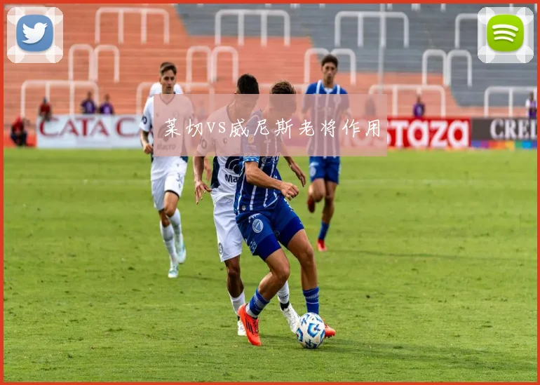 莱切vs威尼斯老将作用