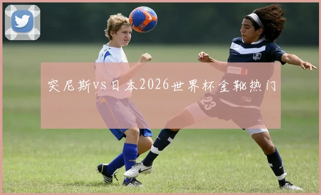 突尼斯vs日本2026世界杯金靴热门
