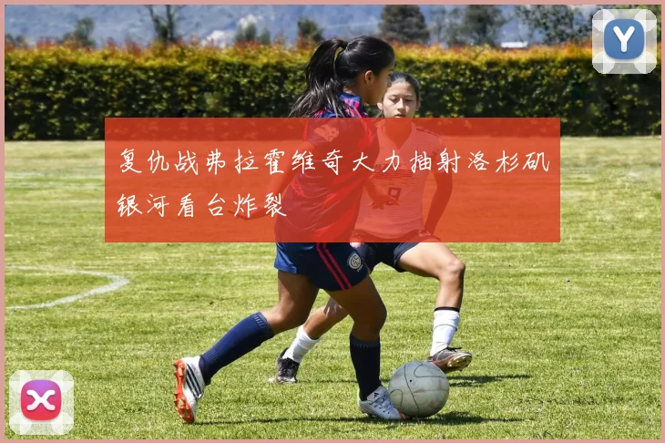 复仇战弗拉霍维奇大力抽射洛杉矶银河看台炸裂